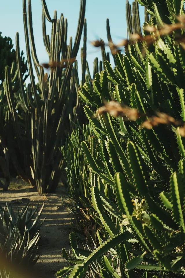 廈門植物園｜又是能量滿滿的一天！