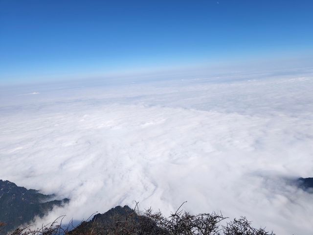 成都出發峨眉山3天2夜|純玩親測雲海禪意全收穫 成都出發峨眉山3天2夜|純玩親測雲海禪意全收穫