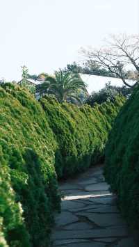 濟州島4天3晚無腦跟團玩