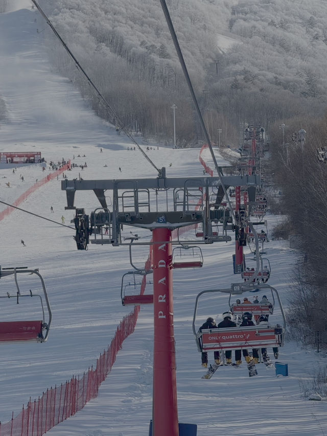 Skiing at Beidahu: Snow, Views, and Serious Vibes ❄️🎿 Skiing at Beidahu: Snow, Views, and Serious Vibes ❄️🎿
