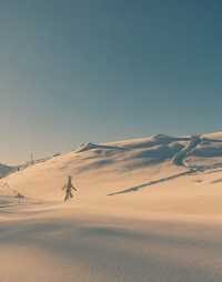 禾木粉雪也太「雪」了