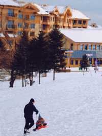 帶娃住進長白山凱悅!12月雪季遛娃天花板
