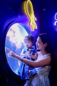 不到 150 找的珠海長隆跟拍踩雷了嗎?