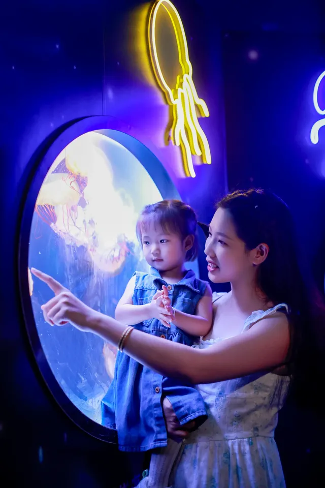 不到 150 找的珠海長隆跟拍踩雷了嗎? 不到 150 找的珠海長隆跟拍踩雷了嗎?