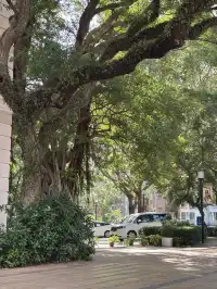 香港堅尼地城旁寶藏!西環泳棚日落封神