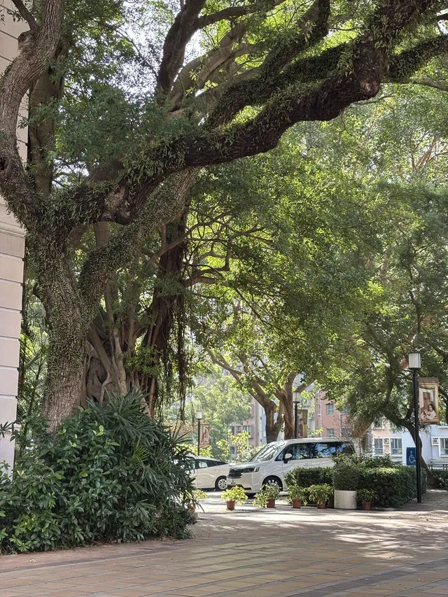 香港堅尼地城旁寶藏!西環泳棚日落封神 香港堅尼地城旁寶藏!西環泳棚日落封神