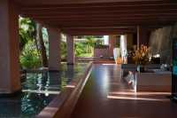 藏在了雨林秘境裡