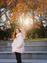 真的會反覆愛上玄武湖的深秋