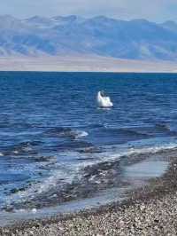 冰封青海湖:藏著藍冰與天鵝的冬日祕境