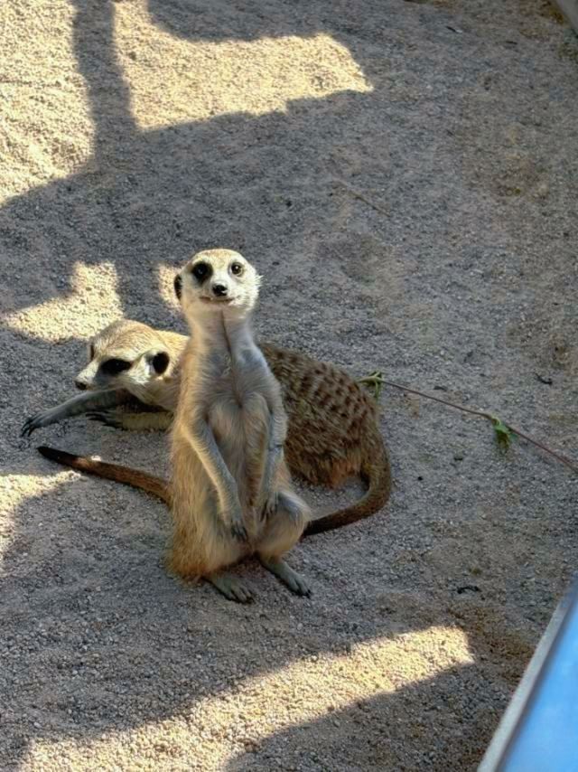 廈門小眾遛娃聖地集美果樂園一日遊攻略 廈門小眾遛娃聖地集美果樂園一日遊攻略