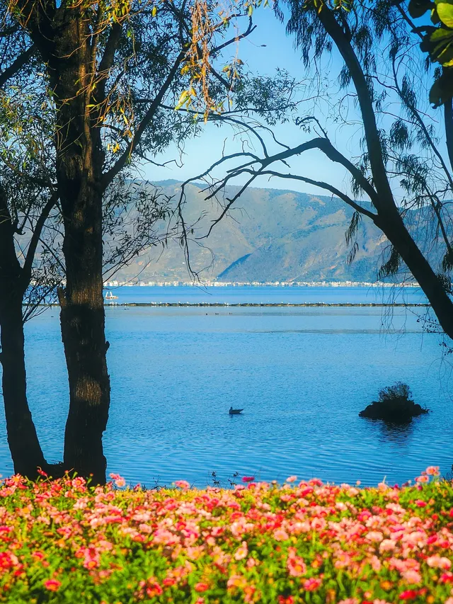 浪漫是大理的常態🩵 浪漫是大理的常態🩵