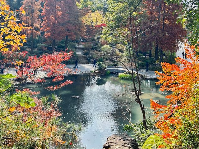 魔都小眾治癒地輔德里公園|市中心藏的森林綠洲 魔都小眾治癒地輔德里公園|市中心藏的森林綠洲