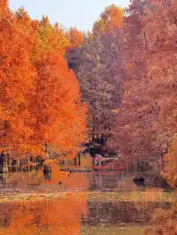 鐘山風景區精華指南含無人版梧桐大道