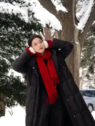 北海道雪又開始下了。