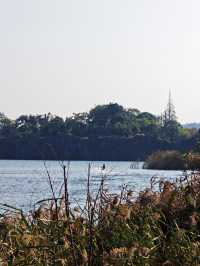 碧水揚波繪神湖,生態畫卷醉人心