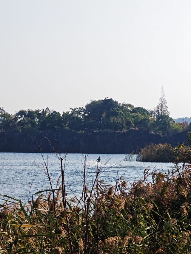 碧水揚波繪神湖,生態畫卷醉人心 碧水揚波繪神湖,生態畫卷醉人心