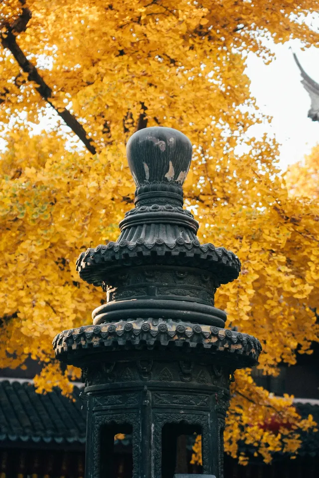 上海寺廟秋天攝影大賽,來交參賽作品了 上海寺廟秋天攝影大賽,來交參賽作品了