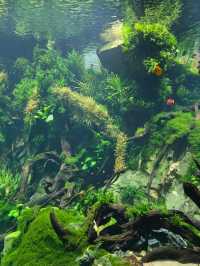 Нет, это не Сингапур! Шанхай сделал лучше!