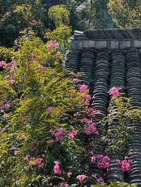 烏鎮西柵景區旁的民宿 自帶度假感 太美啦