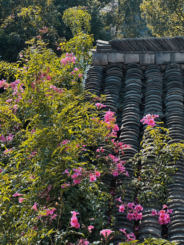烏鎮西柵景區旁的民宿 自帶度假感 太美啦 烏鎮西柵景區旁的民宿 自帶度假感 太美啦