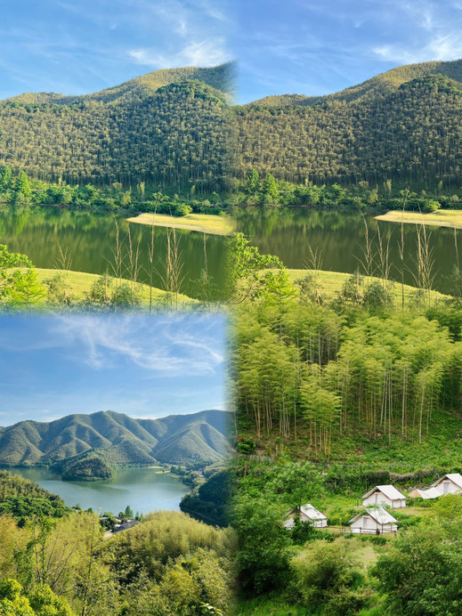 小杭坑(高山草甸营地) 参考图 4
