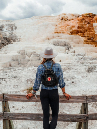 Yellowstone Small Group Tour by Mercedes from Salt Lake City! Includes airport transfers + cabin stay