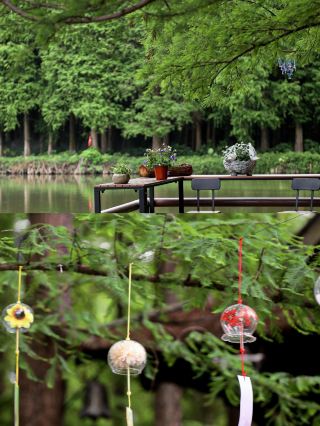 Seriously Underrated Guangdong Scenery Duo! One-Day Guide to Dinghu Mountain + Seven Star Crags