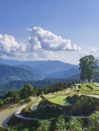Summer 8-day Peru tour guide—save this quick reference