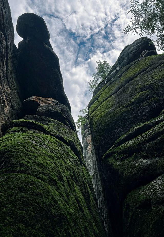 湯旺河林海保姆級攻略｜看奇石森林｜Trip.com 湯旺