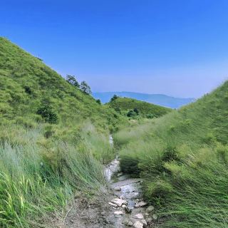 Moliugong Mountain: My Thrilling Ridge Hike Over Endless Peak Forests