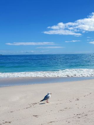 3-day Australia itinerary for US$4k per person