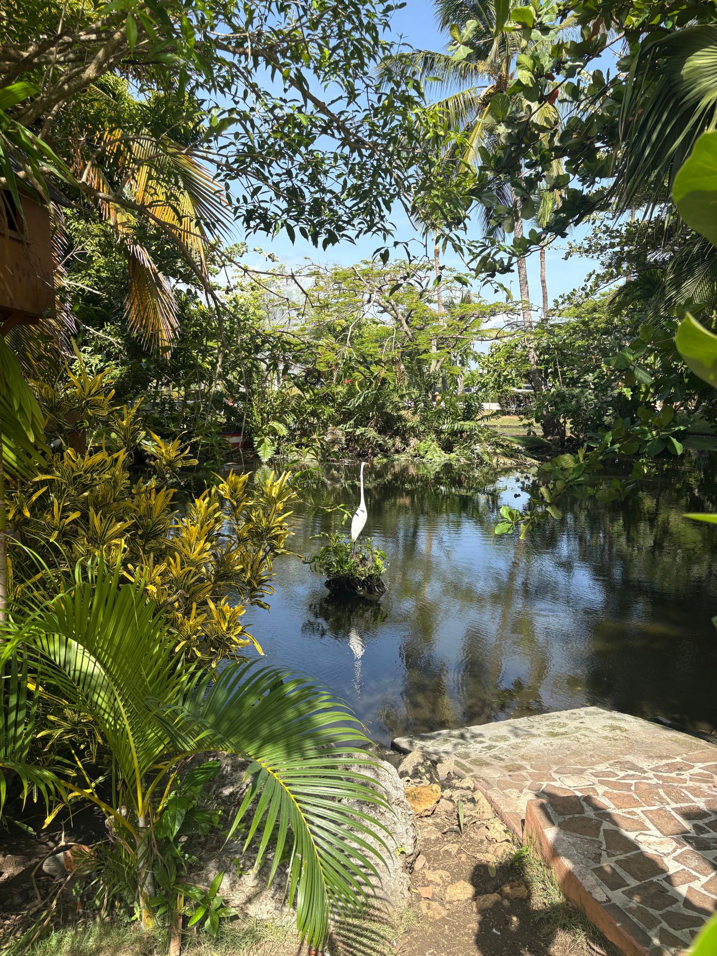 Unforgettable Anniversary at Excellence Punta Cana