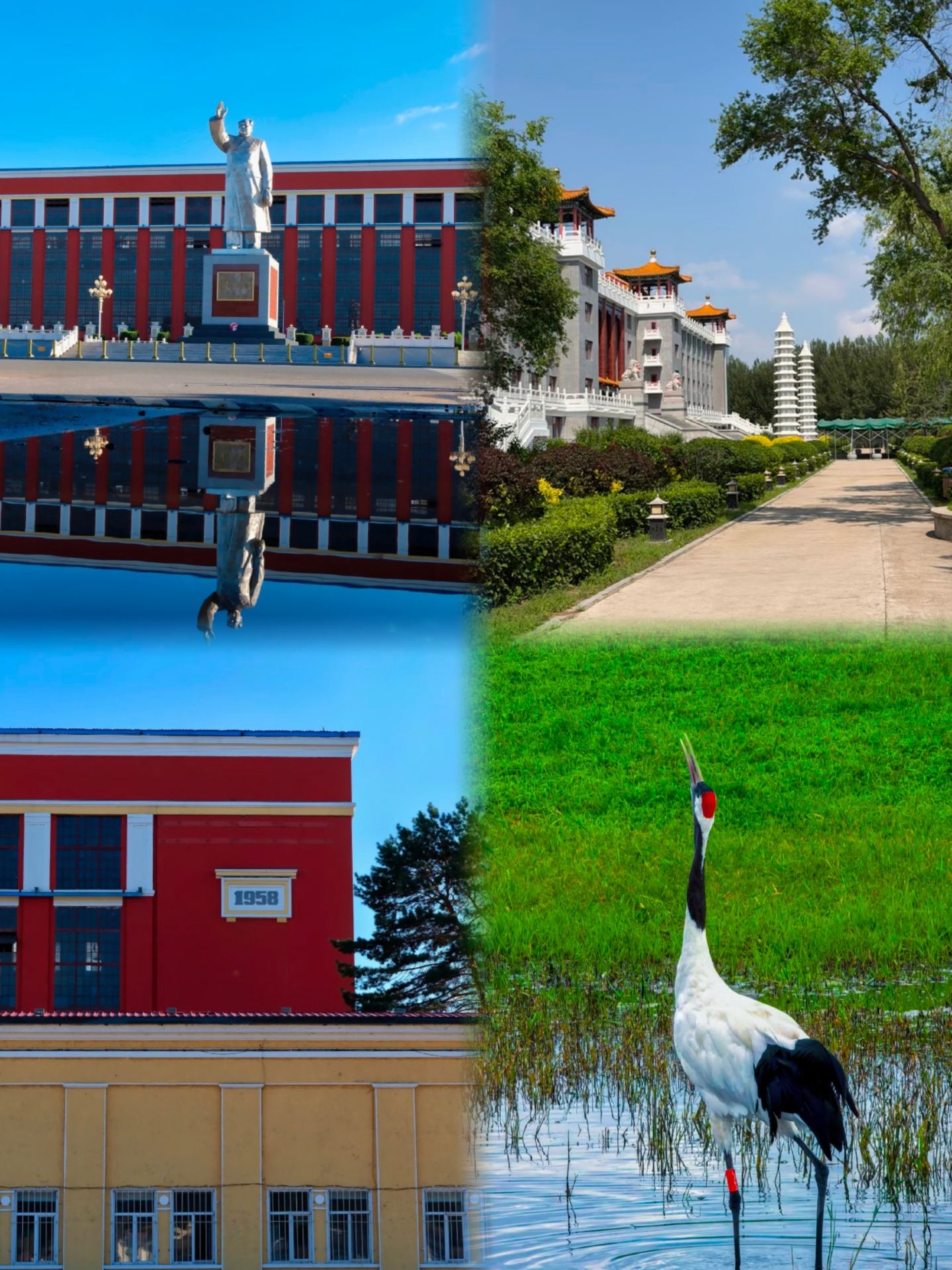 Sau những trải nghiệm tồi tệ ở Qiqihar, tôi thực sự không khuyên bạn nên đến đó vào tháng 9 hoặc tháng 10, vì lúc đó quá...