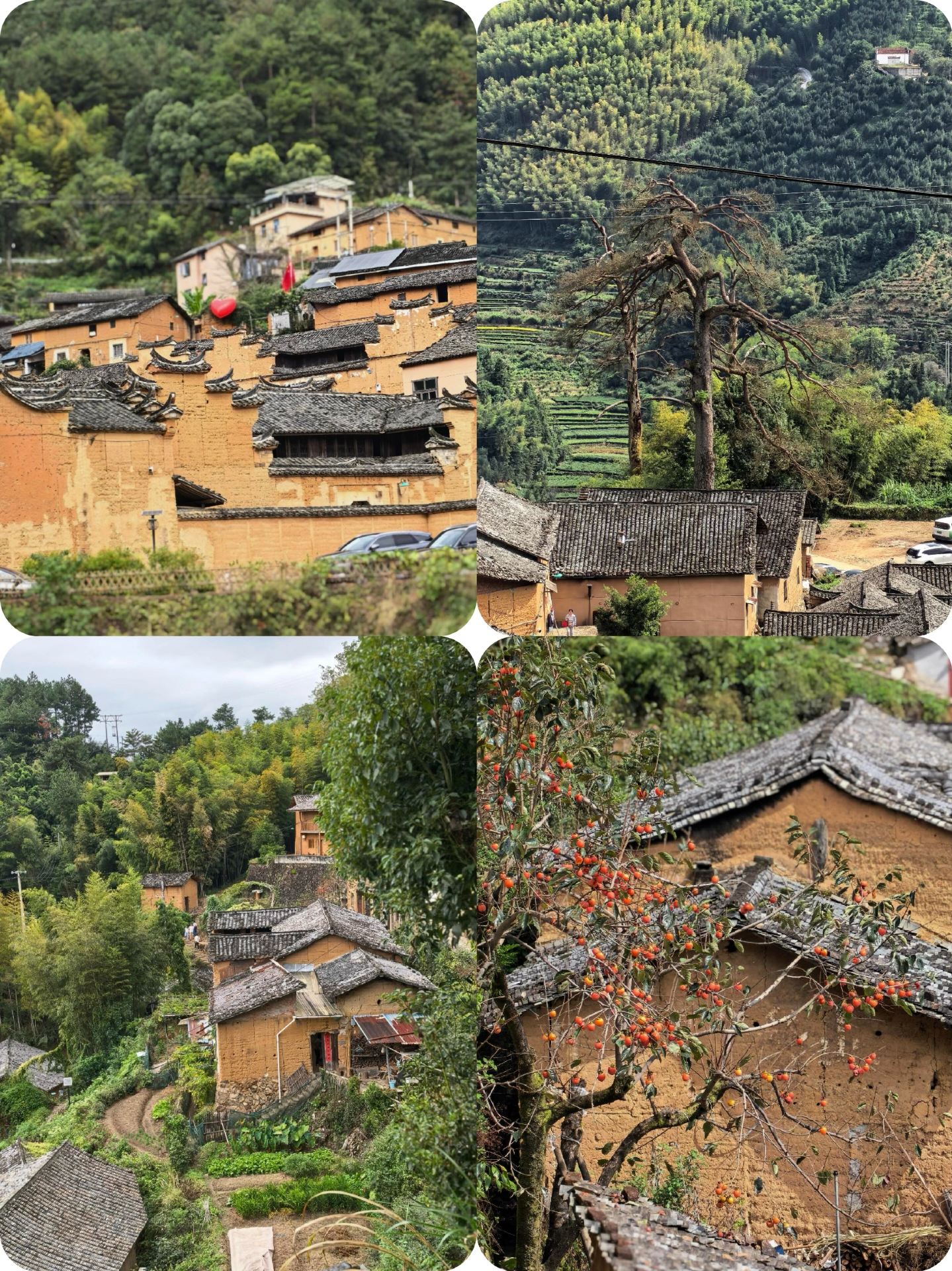 Autumn travel from October–December: Four highly-rated, budget-friendly destinations