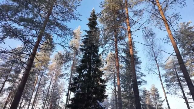 Finland Iceland