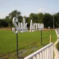 ร้านกาแฟใกล้วัดม่วง Suk arrom สุขอารมณ์ :)