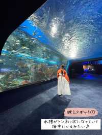 バーチャルとリアルが融合した水族館