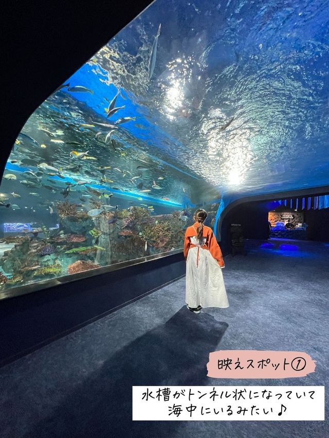 バーチャルとリアルが融合した水族館