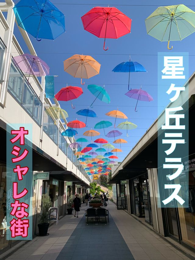 名古屋　名古屋観光　おしゃれな街　星ヶ丘テラスへ行ってきた
