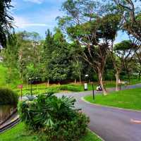 A Fun Playground and Green Nature for Kids 