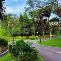 A Fun Playground and Green Nature for Kids 