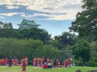 ปราสาทนาโกย่า (Nagoya Castle)🏯#Nagoya