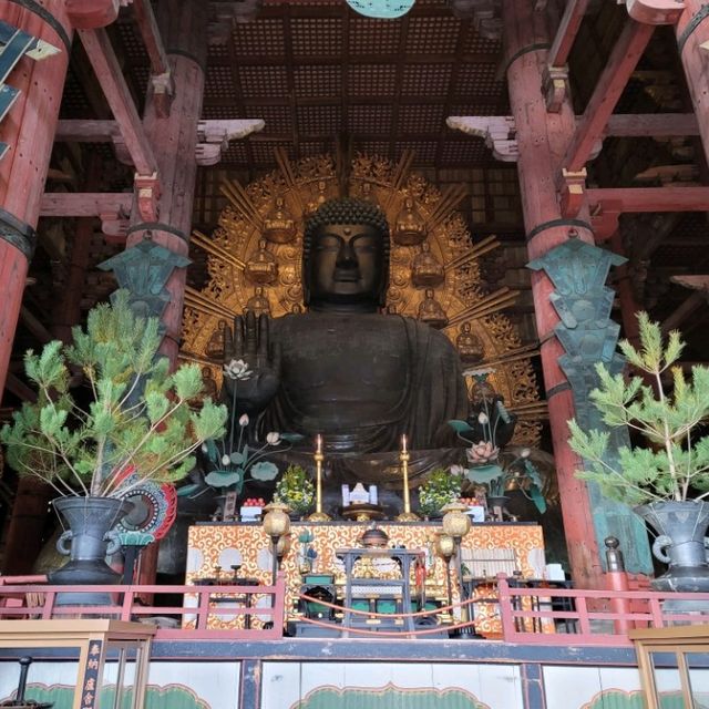 充滿禪意的古老寺廟🏯🧘🏻‍♂️