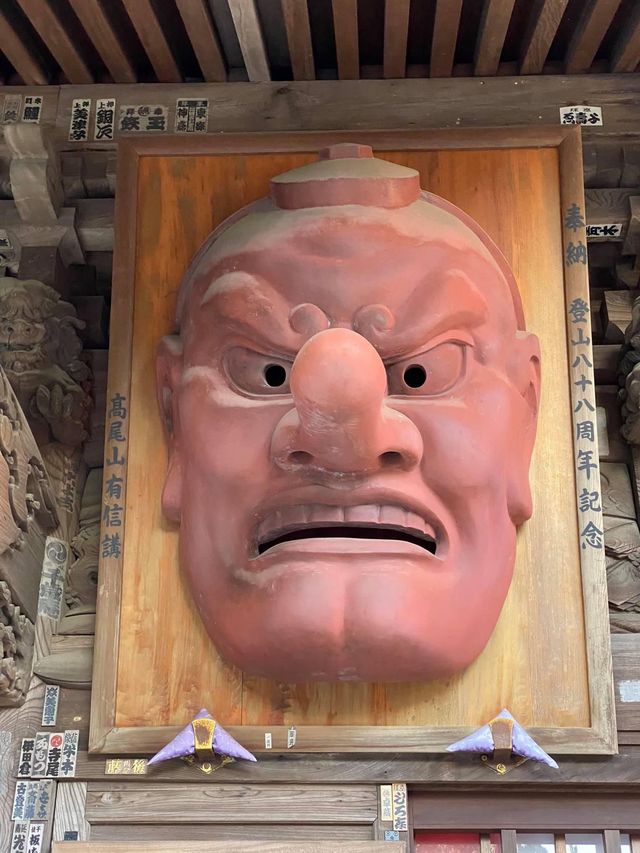 東京市內必去🤪高尾山藥王院😚一日遊推薦😎親子遊最佳景點