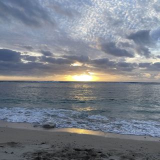 태양, 모래, 미소: 해변에서 보내는 즐거운 하루