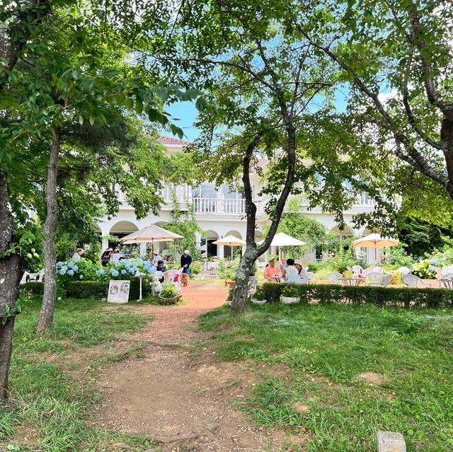 河口湖!! お花に囲まれたCafe☕️