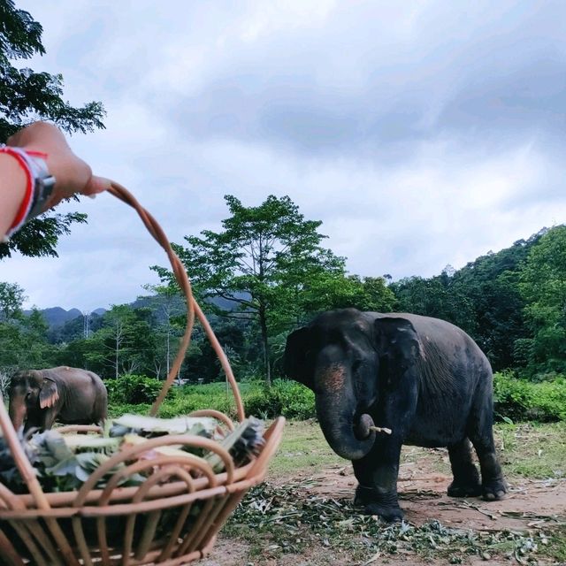 มุมสบาย ... เกาะช้าง ที่มีช้าง 