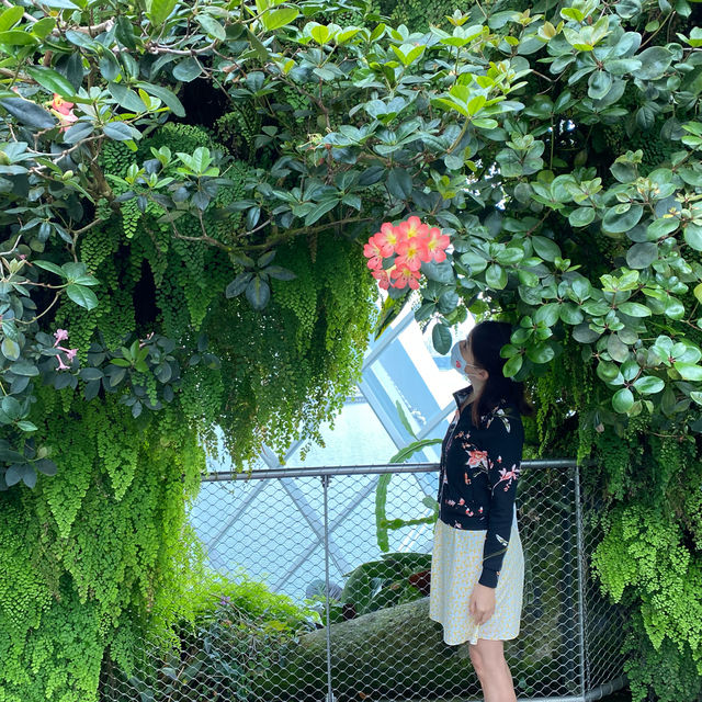 [Explore Singapore] Gardens of Your Dreams