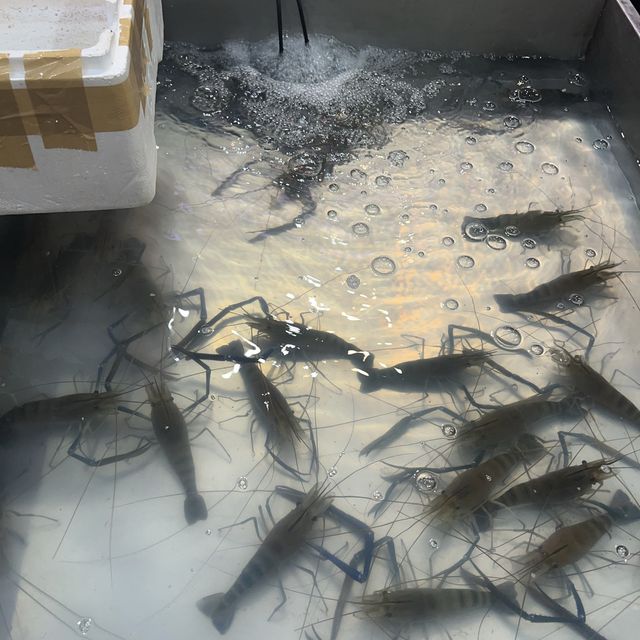 방콕에서 음식 메뉴 선택이 힘들다면 모두 여기로!!🍴✨