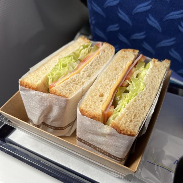 【エアプサン搭乗記】追加サービスも充実！機内食も楽しめる